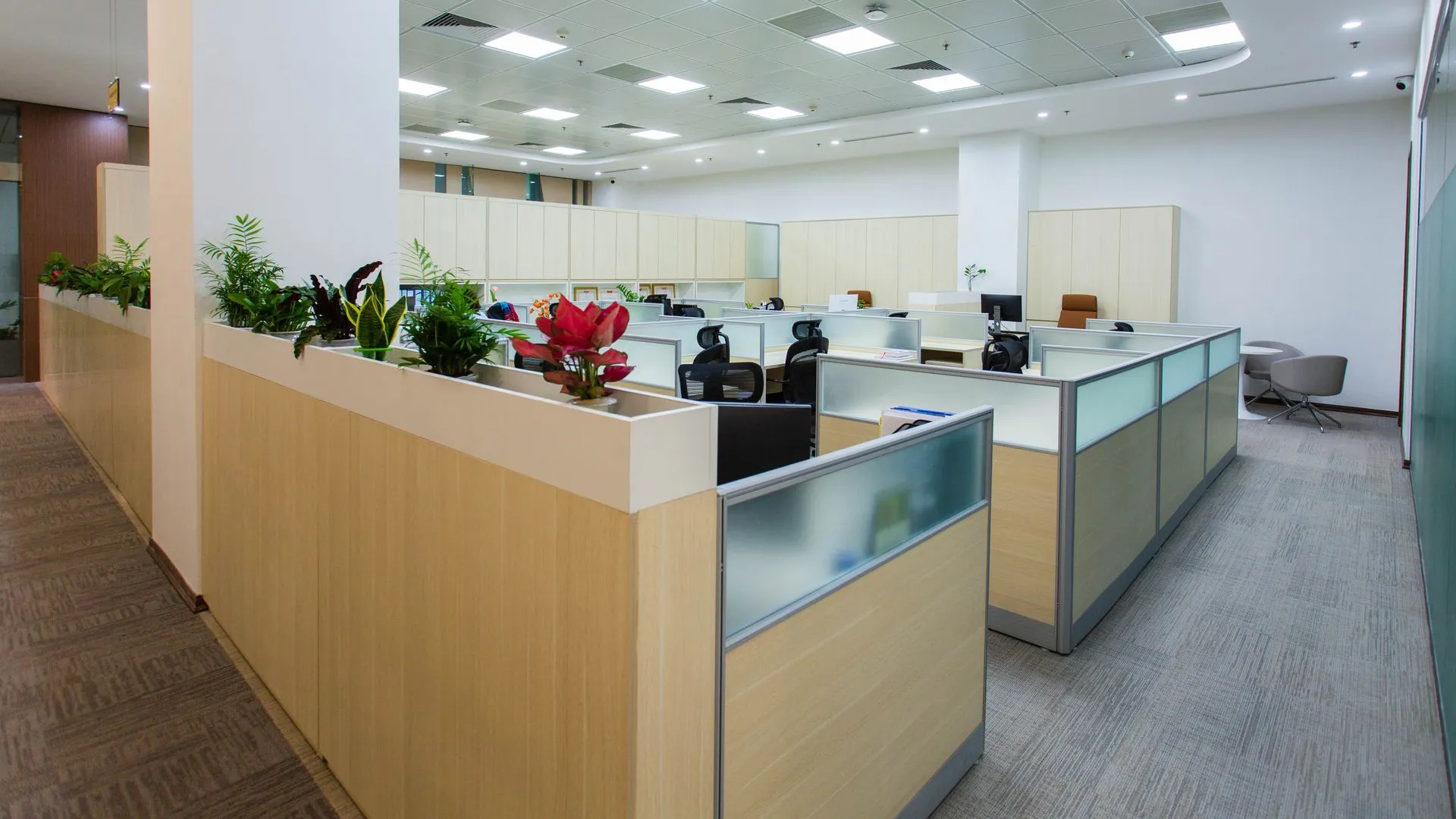 Office ceiling tiles and vents kept clean with commercial cleaning in Coral Springs