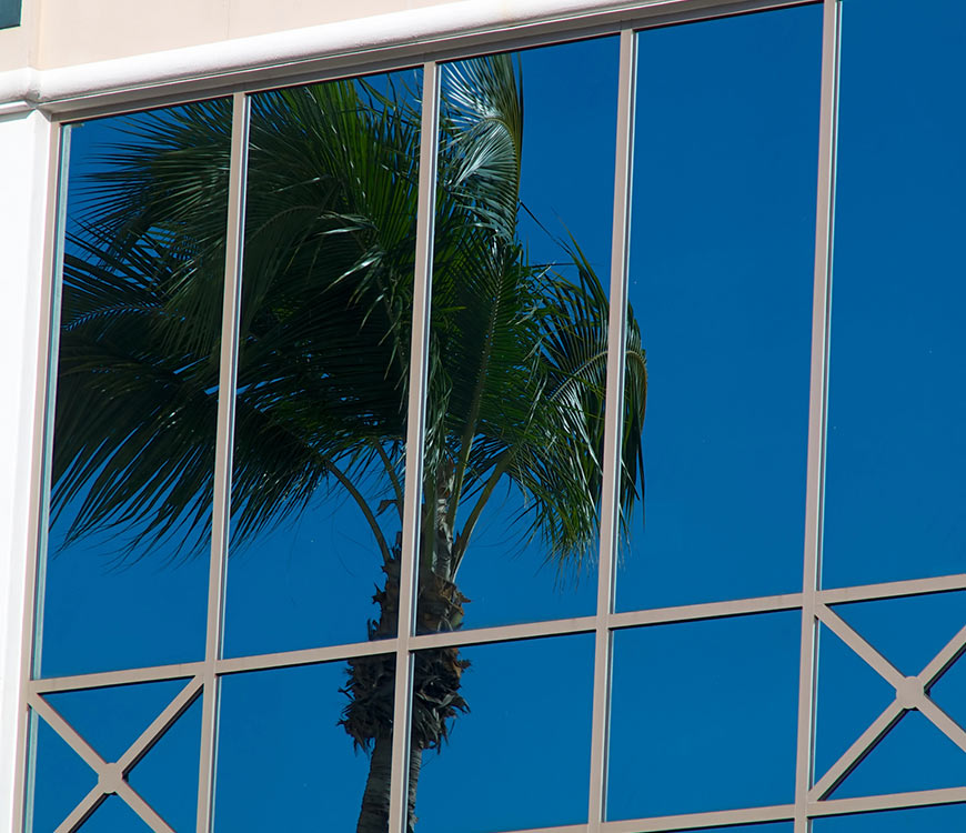Clean building windows reflecting a palm tree after commercial window cleaning in Plantation